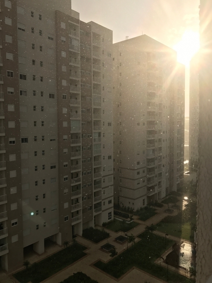 #53 - Apartamento para Venda em São Paulo - SP