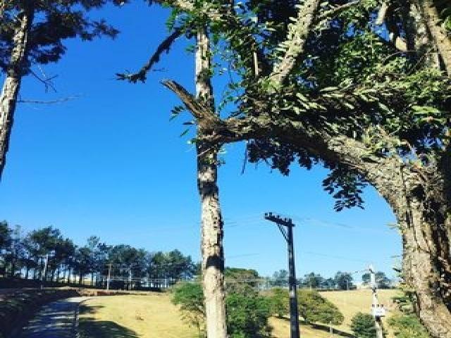 Área para Venda em Ibiúna - 4